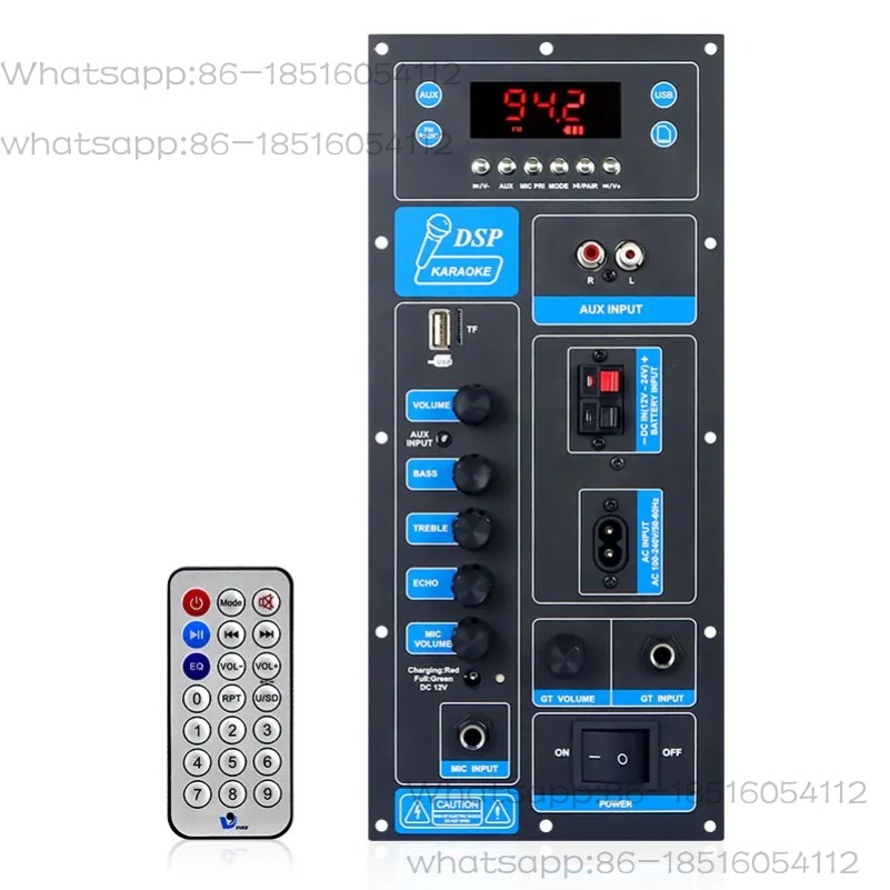 VIRE High Power DSP Bluetooth  - Outdoor Power Module reseña y precio