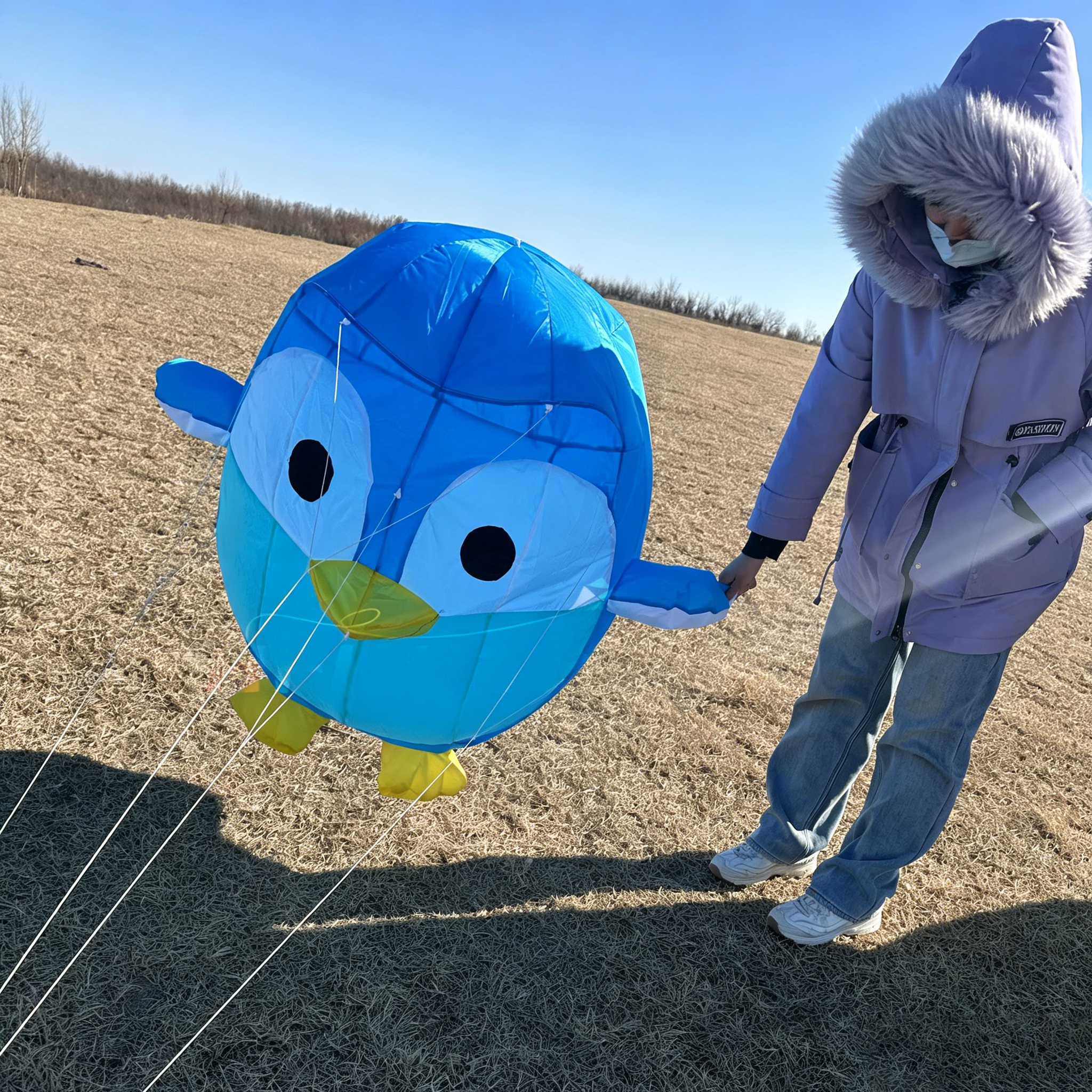 Penguin Kite Pendant, Soft Inf - Outdoor Power Line reseña y precio